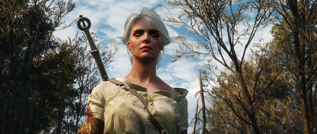 dailykraken_witcher2
